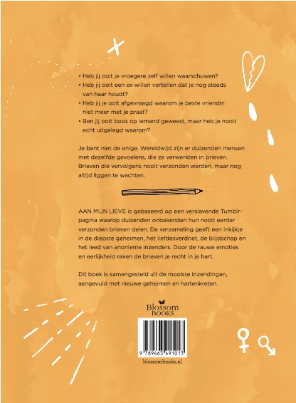 Achterkant van Aan mijn lieve