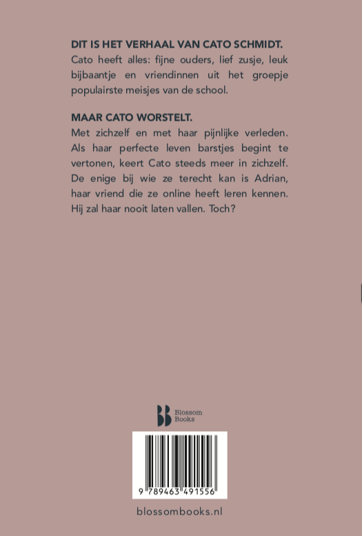 Achterkant van Dit is hoe het ging