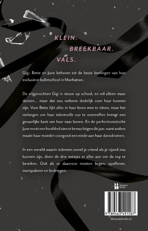 Achterkant van Tiny Pretty Things