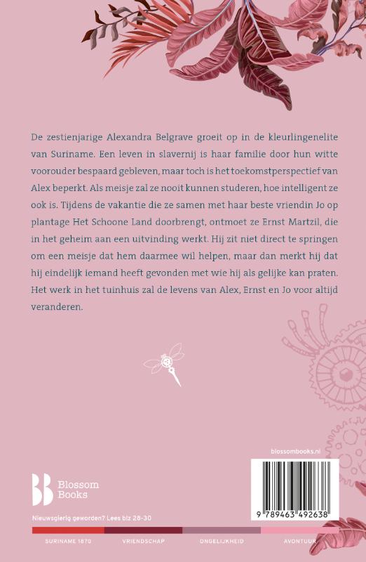 Achterkant van Geheimen van het tuinhuis