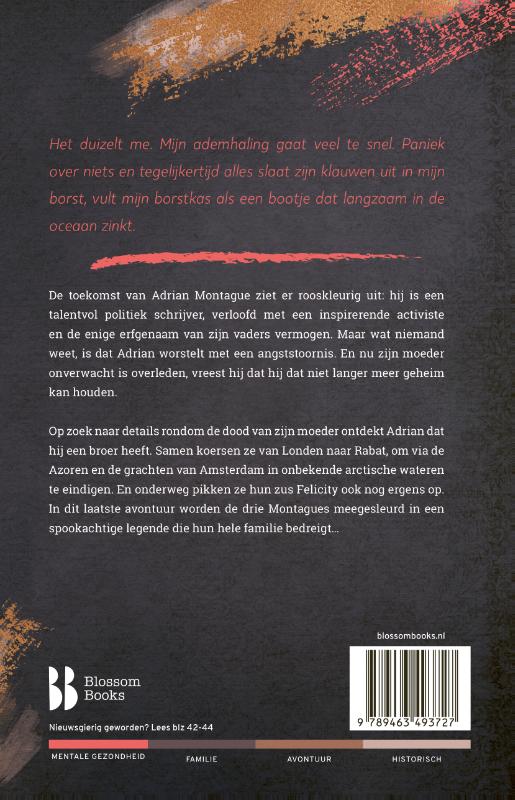 Achterkant van De queeste van Adrian Montague