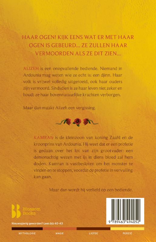 Achterkant van Alizeh. De duistere profetie