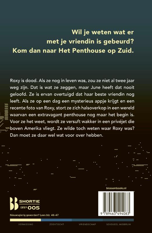 Achterkant van Het penthouse