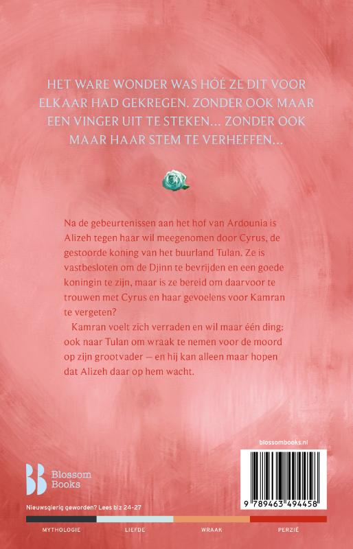 Achterkant van Alizeh. Het lot van de djinn