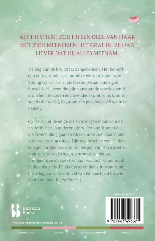 Achterkant van Alizeh. De bruid van Iblis