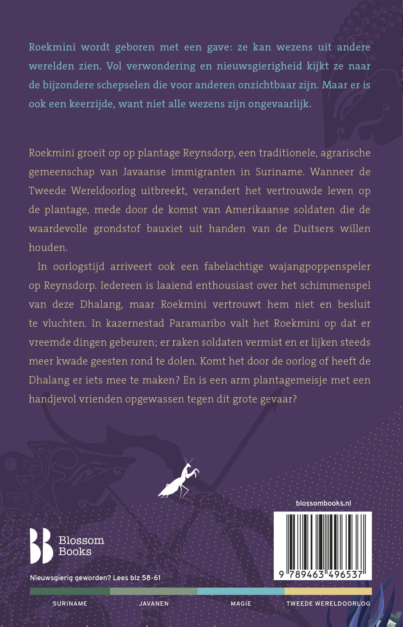 Achterkant van Schaduwtemmer