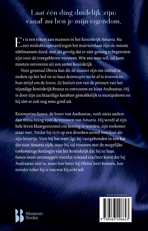 Achterkant van What fury brings
