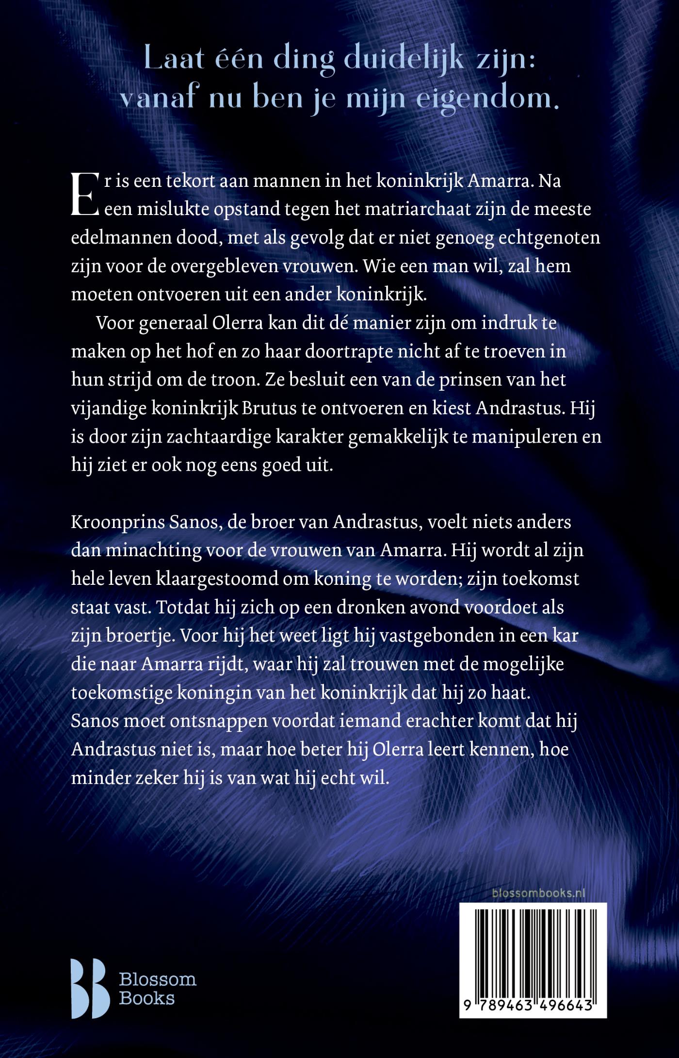 Achterkant van What fury brings