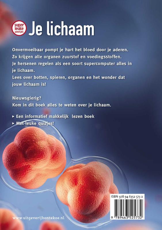 Achterkant van Je lichaam