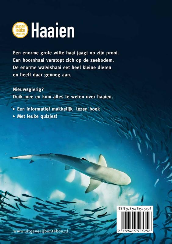 Achterkant van Haaien