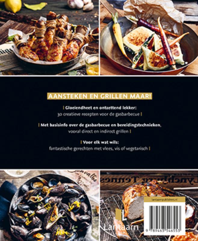 Achterkant van Gas BBQ