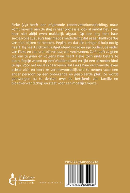 Achterkant van Overstag