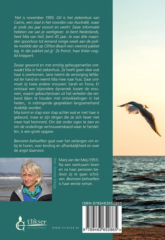 Achterkant van Bevroren behoeften
