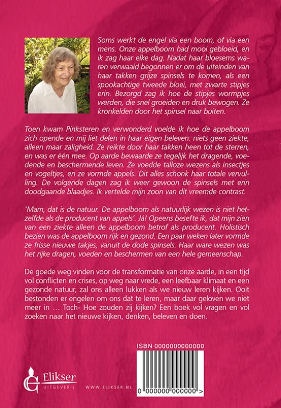Achterkant van De vrouw die Engelen maakte