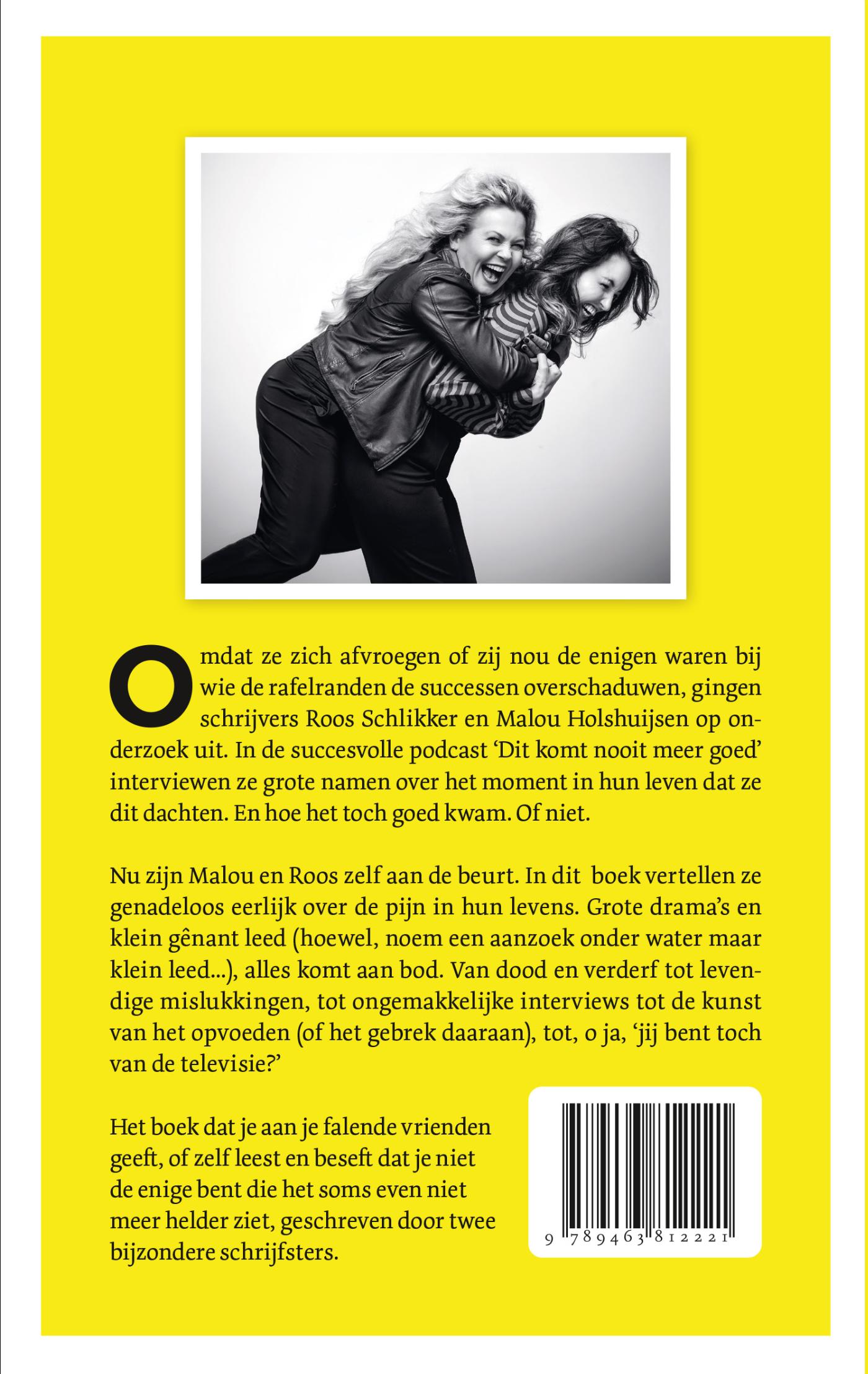 Achterkant van Dit komt nooit meer goed