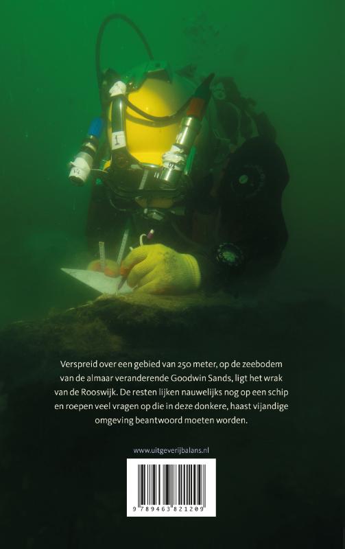 Achterkant van Rooswijk 1740