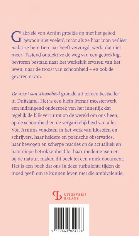 Achterkant van De troost van schoonheid