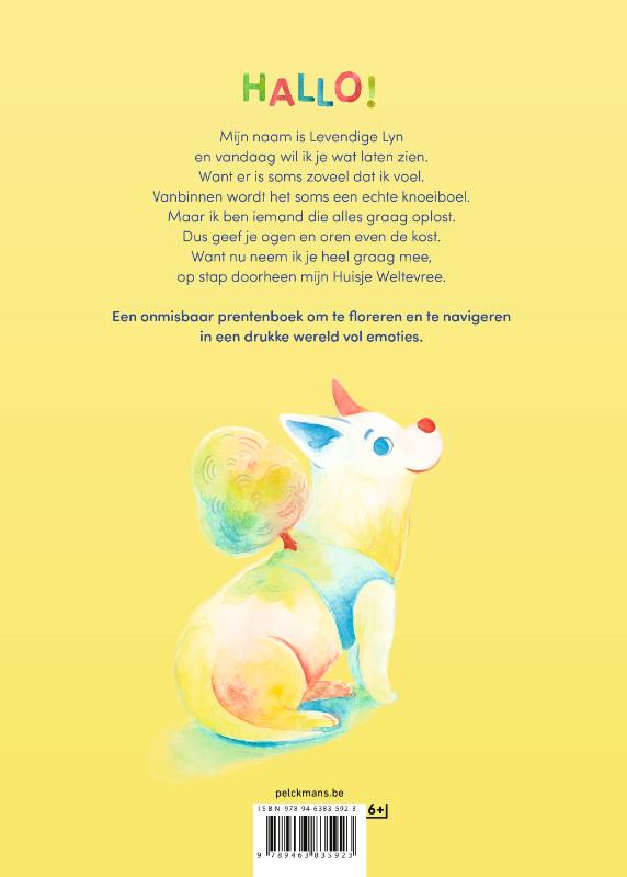 Achterkant van Huisje Weltevree