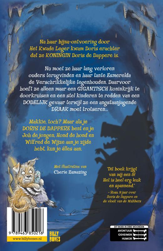Achterkant van Doris de Dappere en de draak van Raadselstad