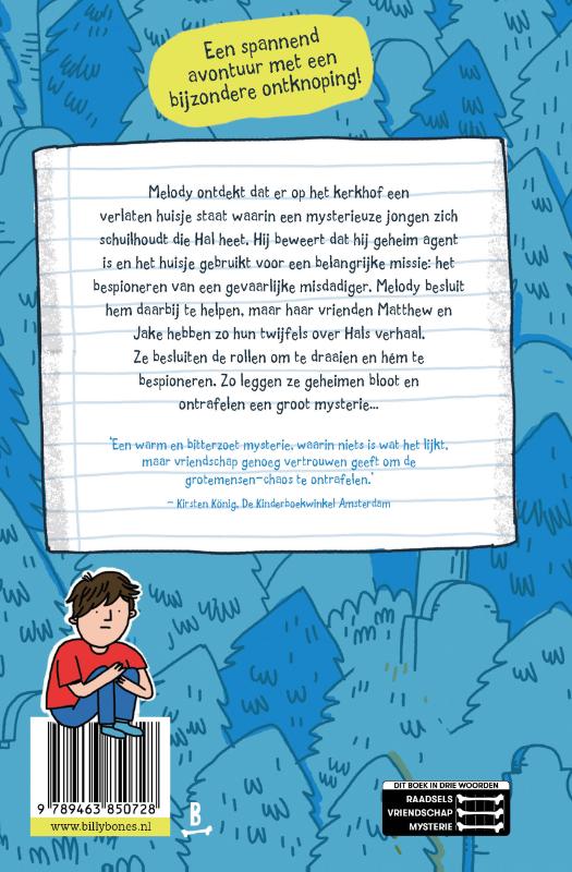 Achterkant van Het geheim van het kerkhof