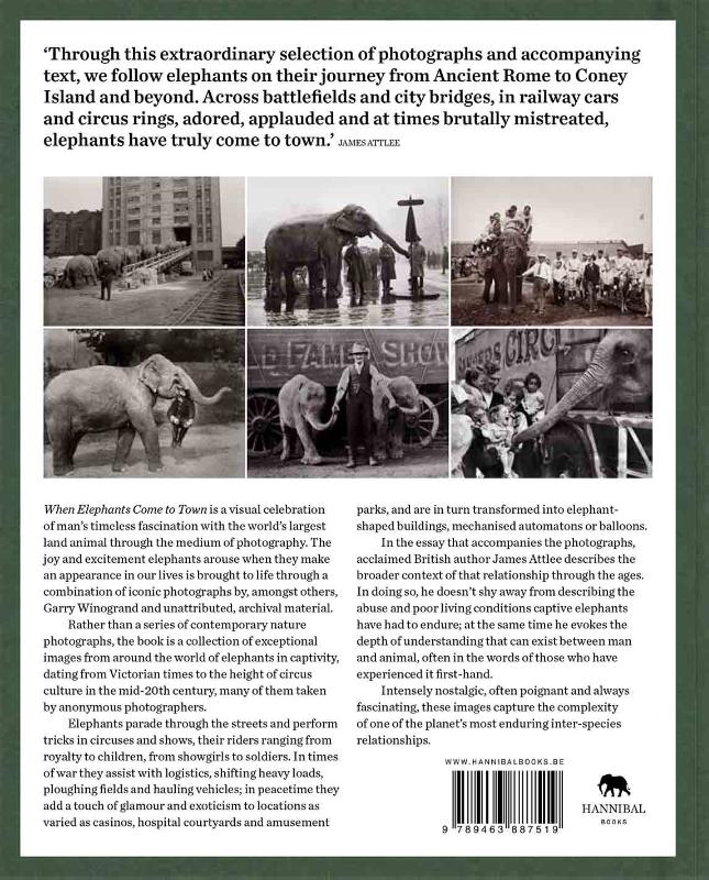 Achterkant van When Elephant Come to Town