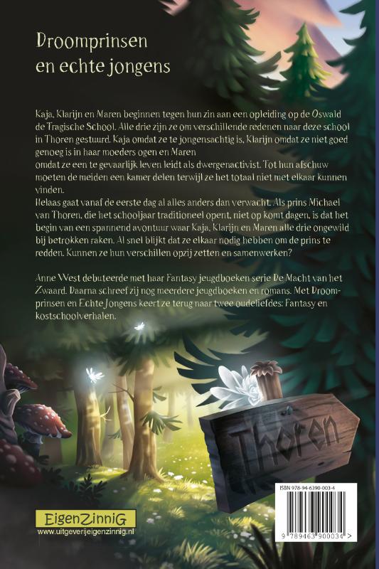 Achterkant van Droomprinsen en echte jongens