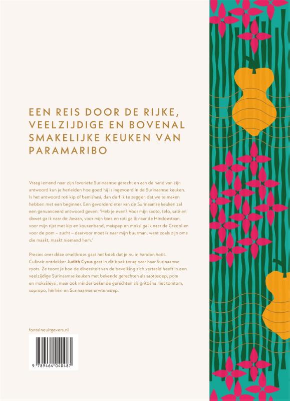 Achterkant van Paramaribo