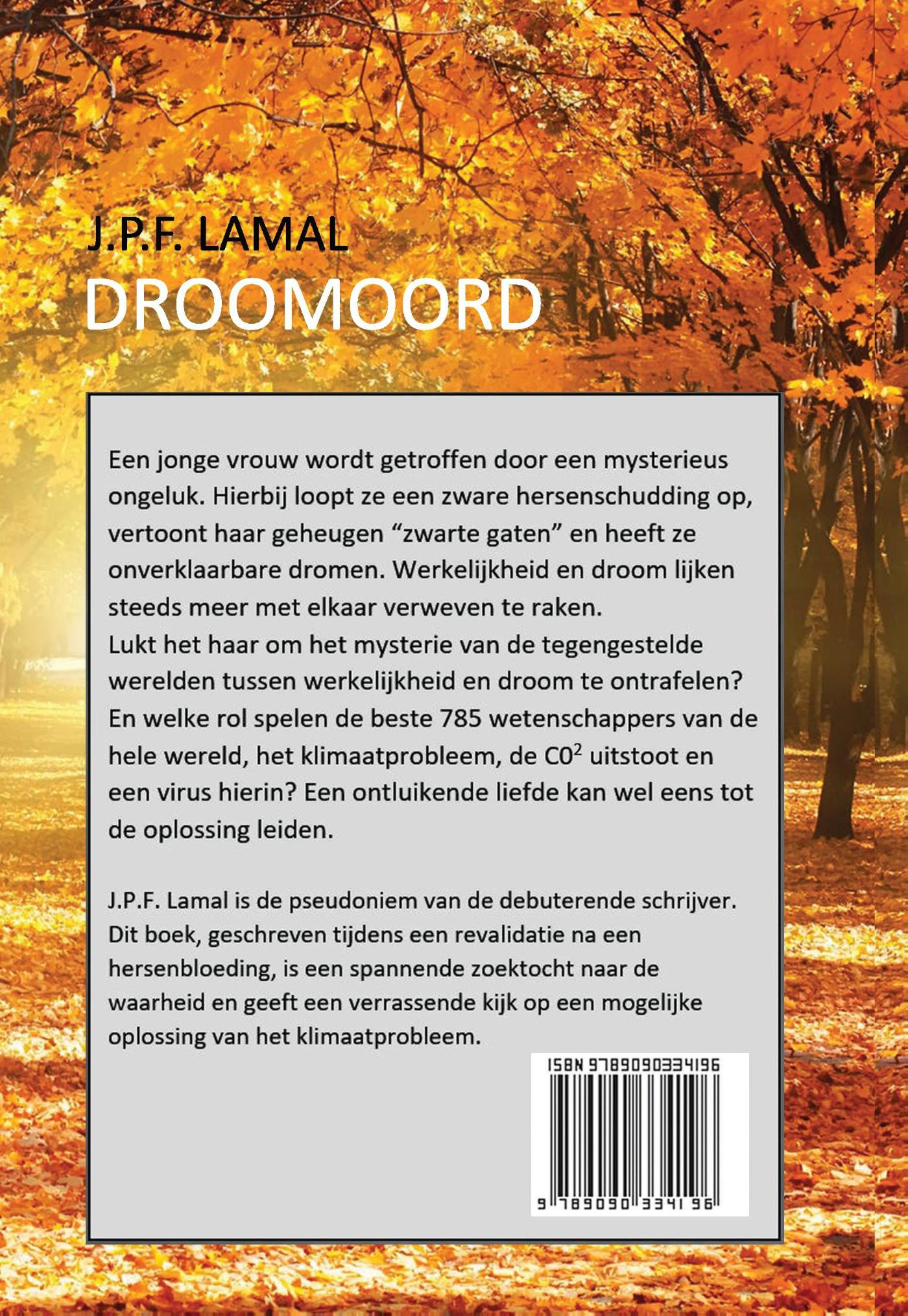 Achterkant van Droomoord