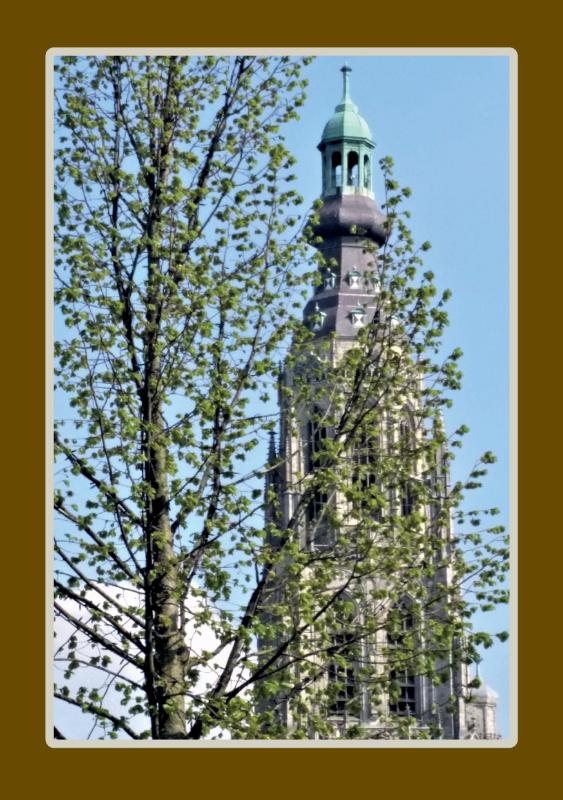 Achterkant van 1