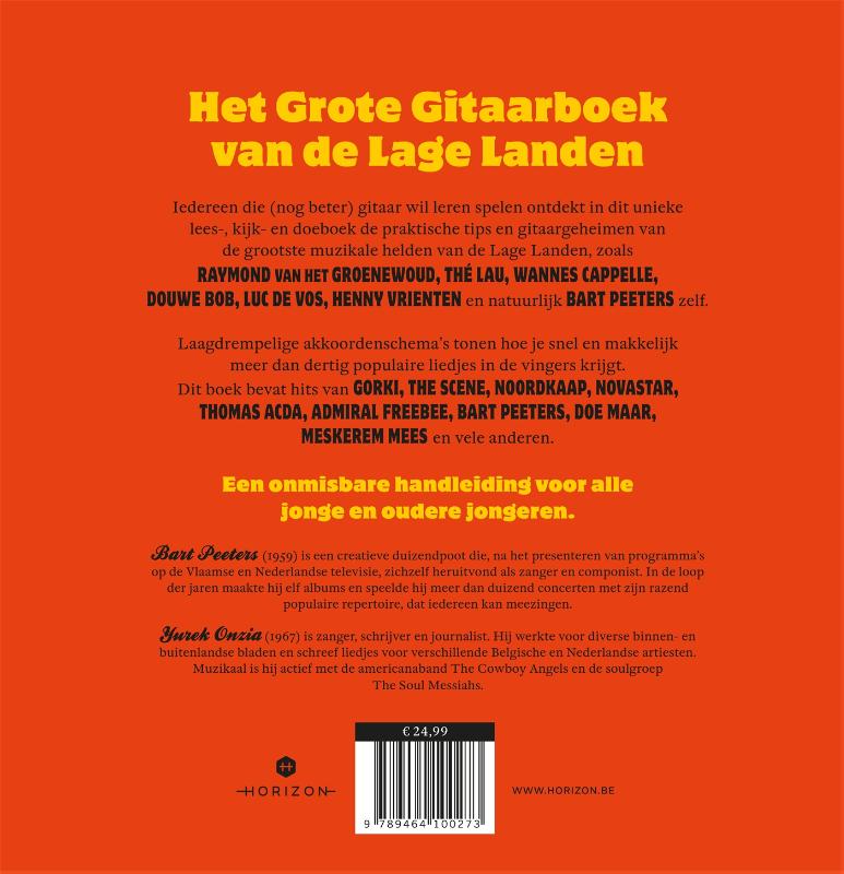 Achterkant van Leren gitaar spelen