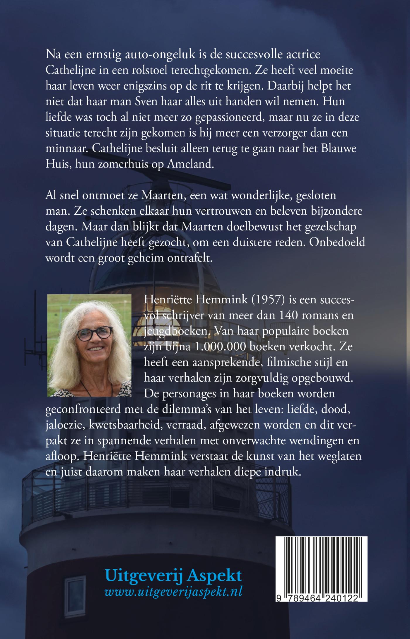 Achterkant van Terug naar het blauwe huis