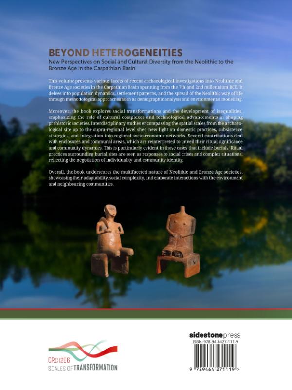Achterkant van Beyond heterogeneities