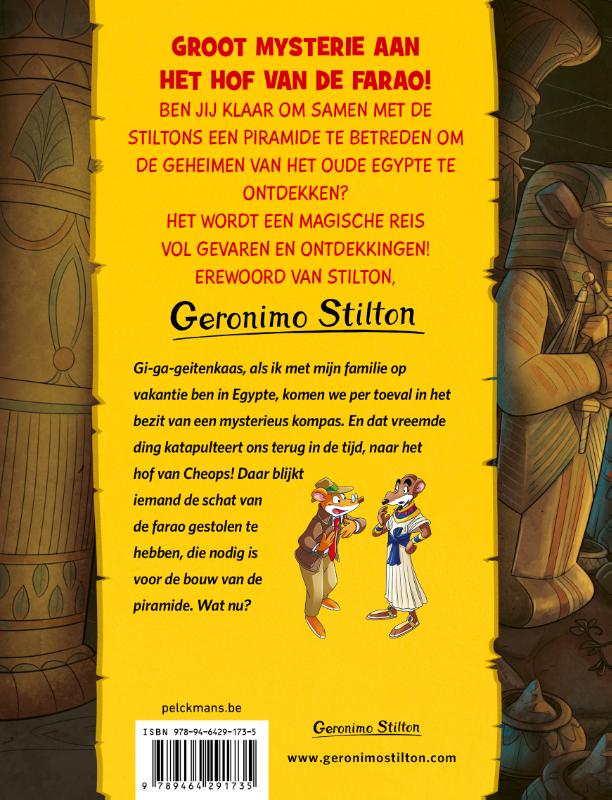 Achterkant van Het piramide project