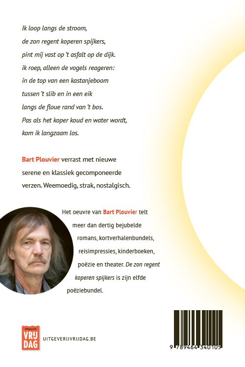 Achterkant van De zon regent koperen spijkers