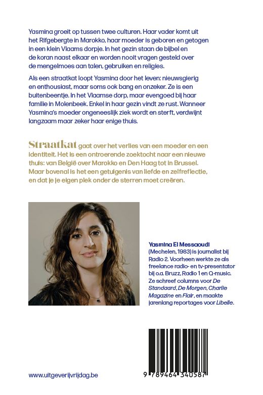 Achterkant van Straatkat