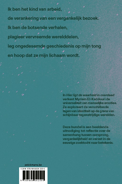 Achterkant van Hier ligt de waarheid in overdaad