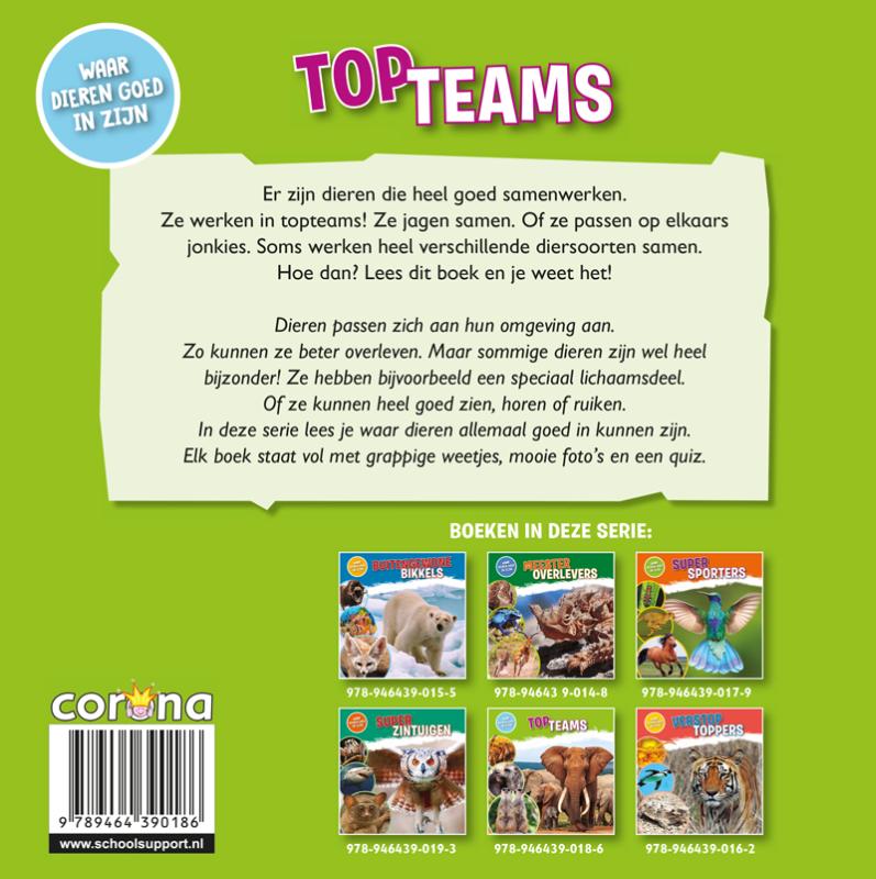 Achterkant van Topteams