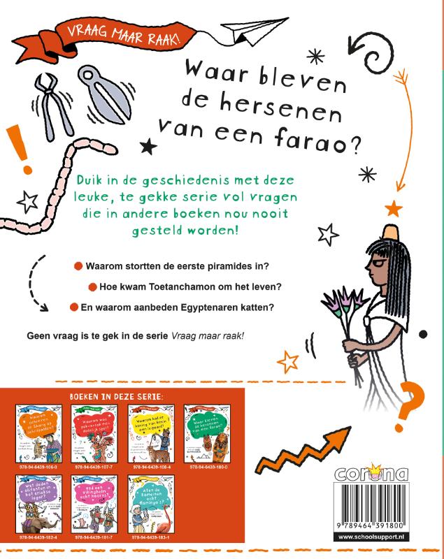 Achterkant van Waar bleven de hersenen van een farao?
