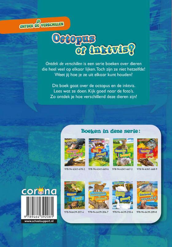 Achterkant van Octopus of inktvis?