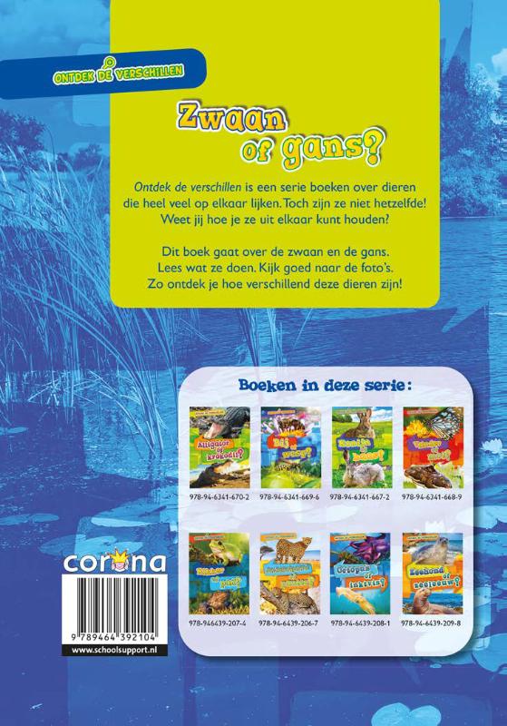 Achterkant van Zwaan of gans?