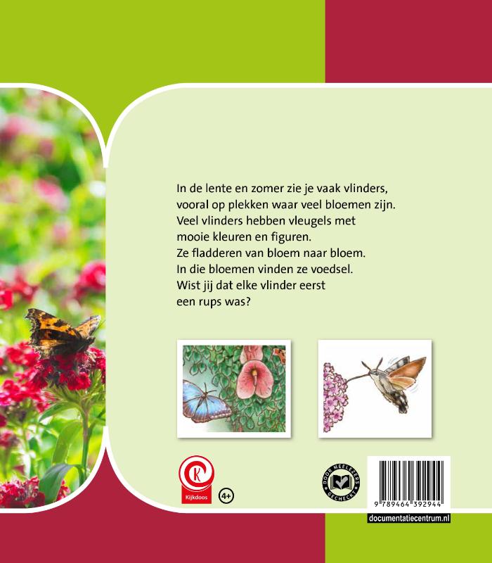 Achterkant van vlinders