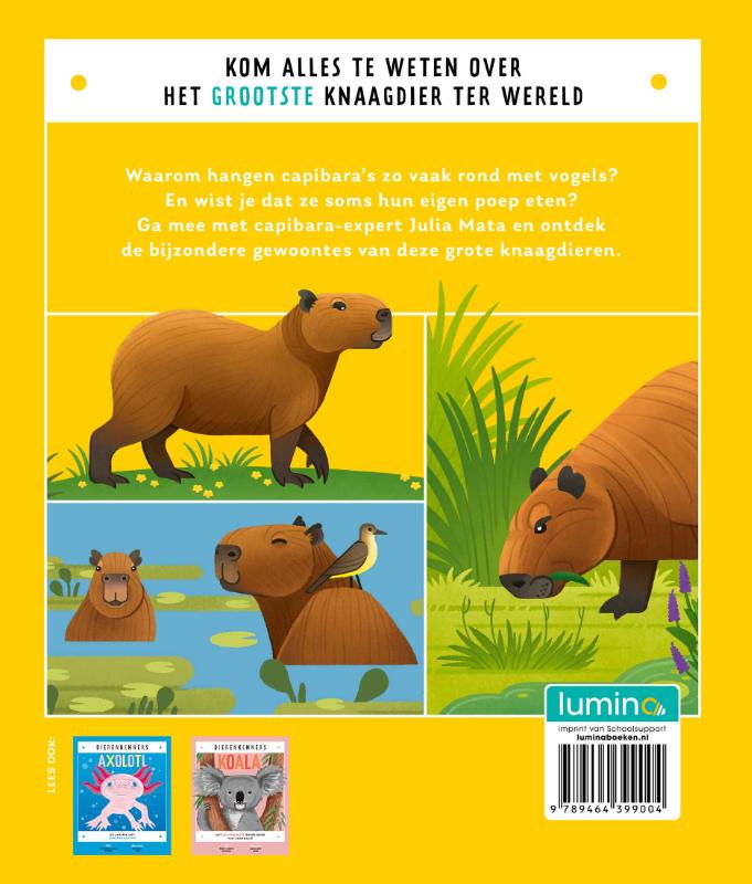 Achterkant van Capibara