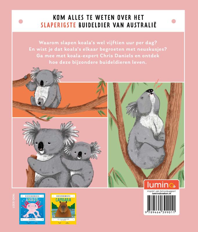 Achterkant van Koala