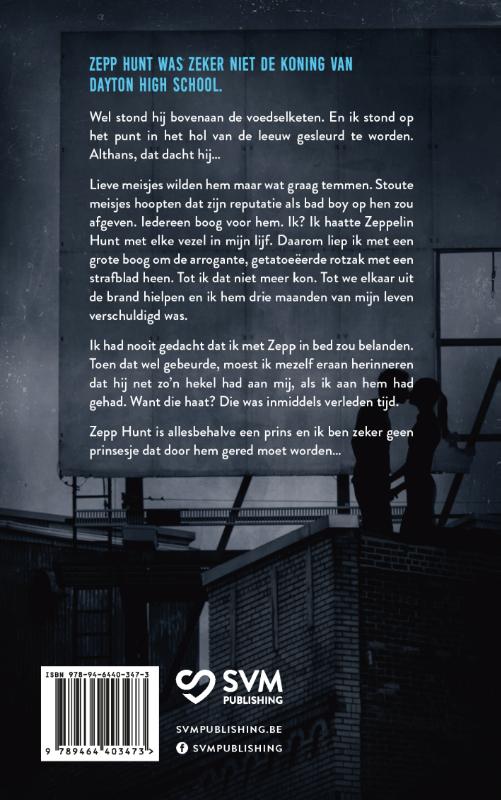 Achterkant van Allesbehalve een prins