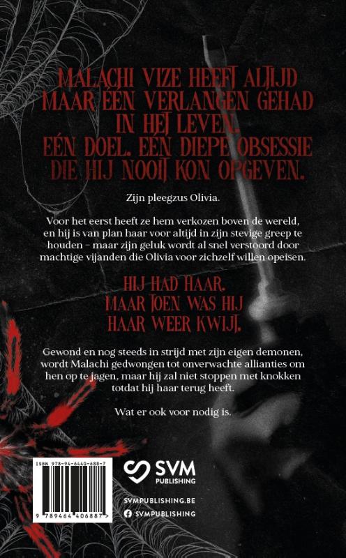 Achterkant van Little liar
