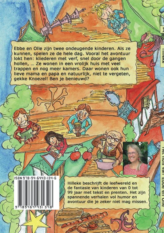 Achterkant van Het huis van Ebbe en Olle