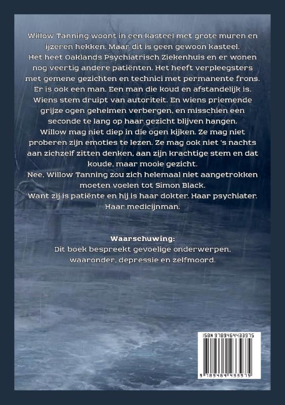 Achterkant van Het Incident