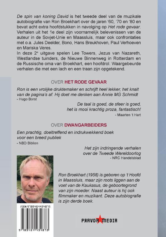 Achterkant van De spin van koning David