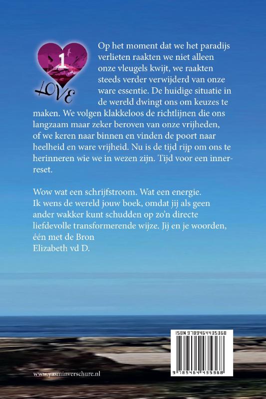 Achterkant van Inner Reset