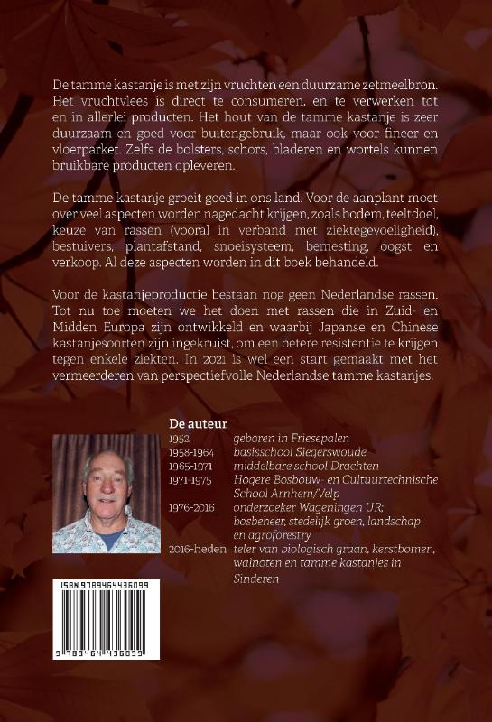 Achterkant van Tamme kastanje (Castanea spec.) voor vruchten, hout en bijproducten